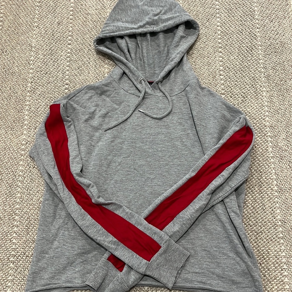 Grey and Red Striped Cropped Sweatshirt